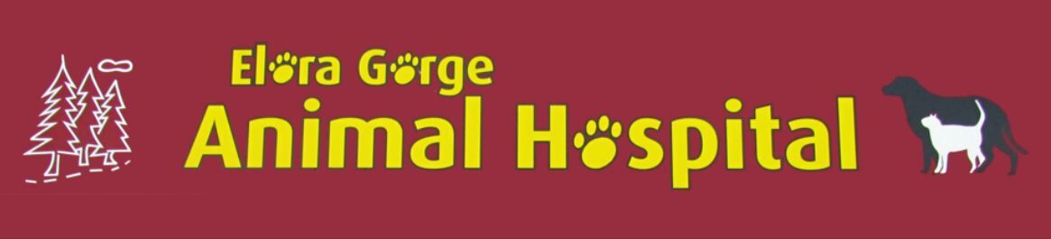 Elora Gorge Animal Hospital